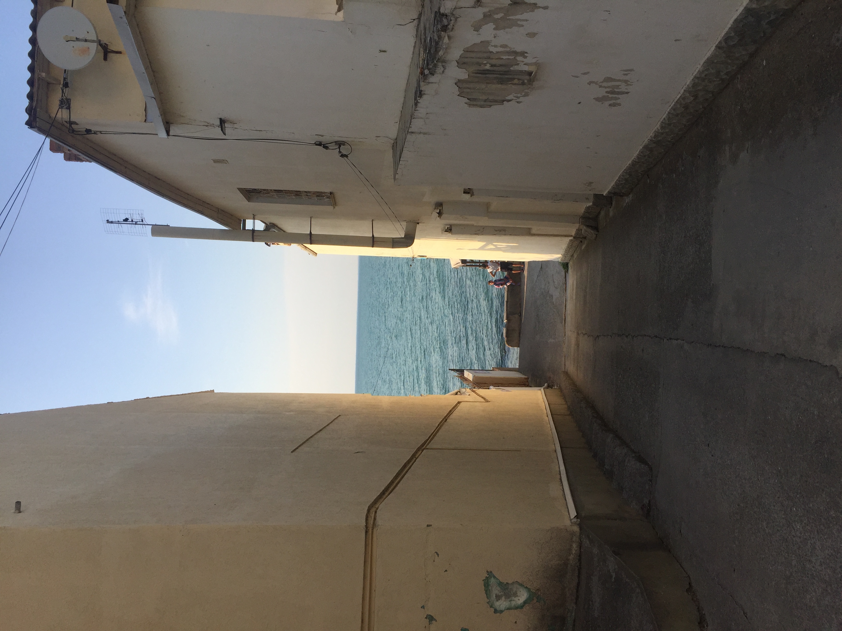 Фото Пять Ракушек