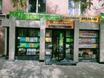 Slon-V (Port-Saida Street, 8), agencia de viajes