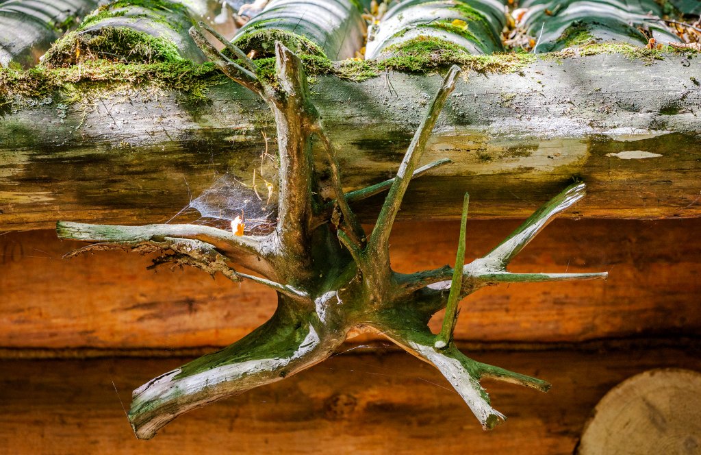 Фото Таёжные Бани