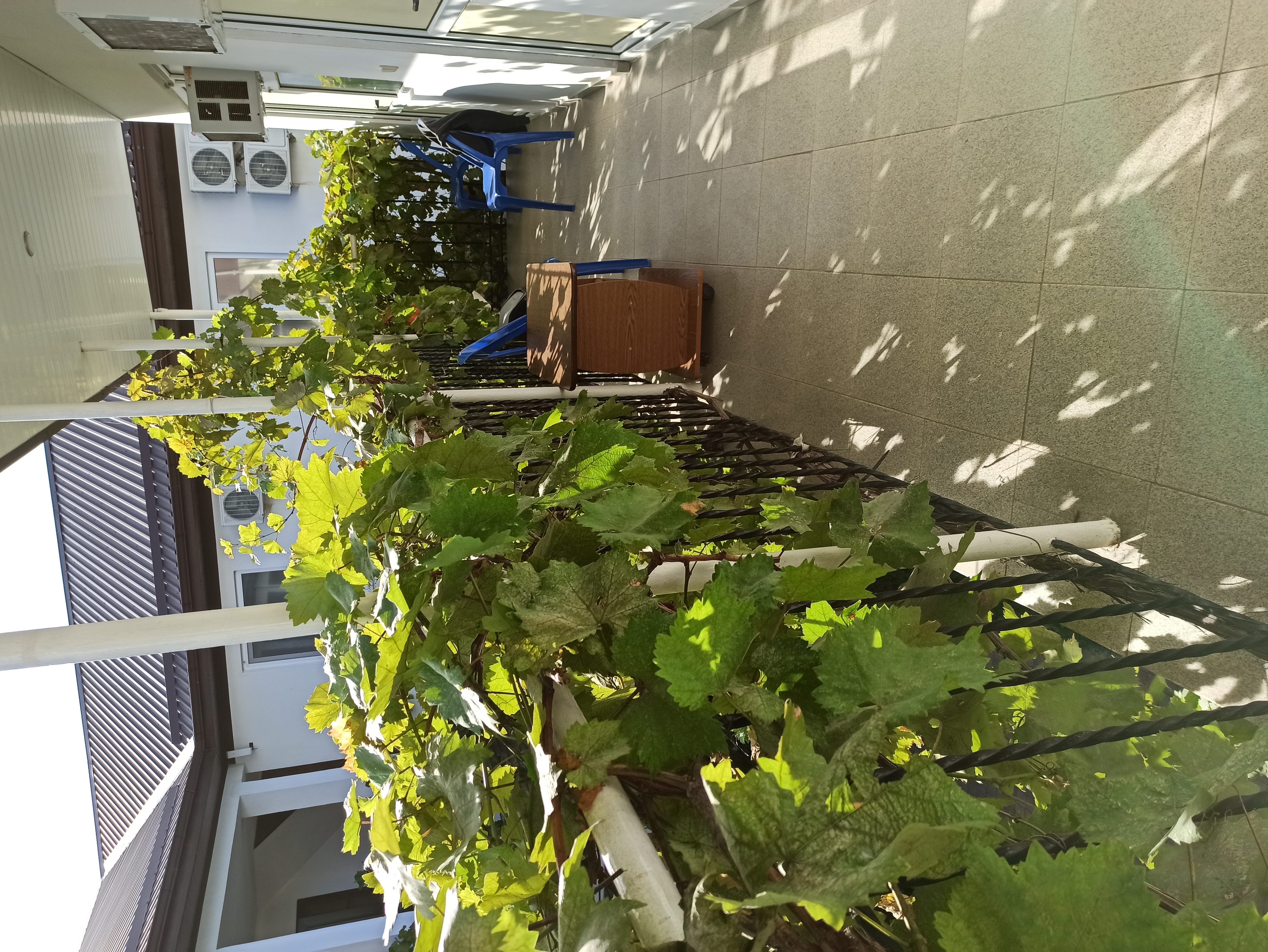 Фото Николь