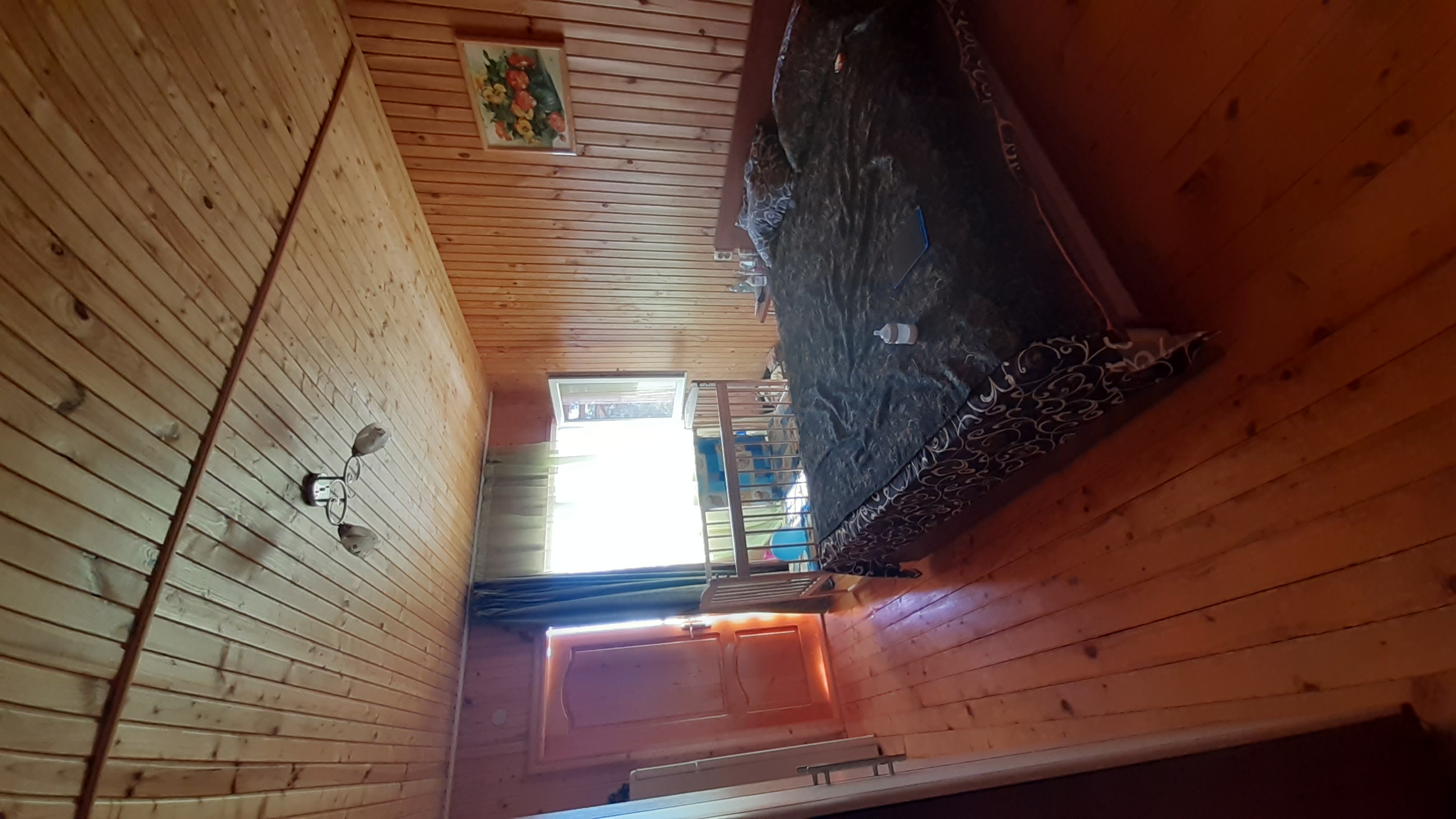 Фото Афалина