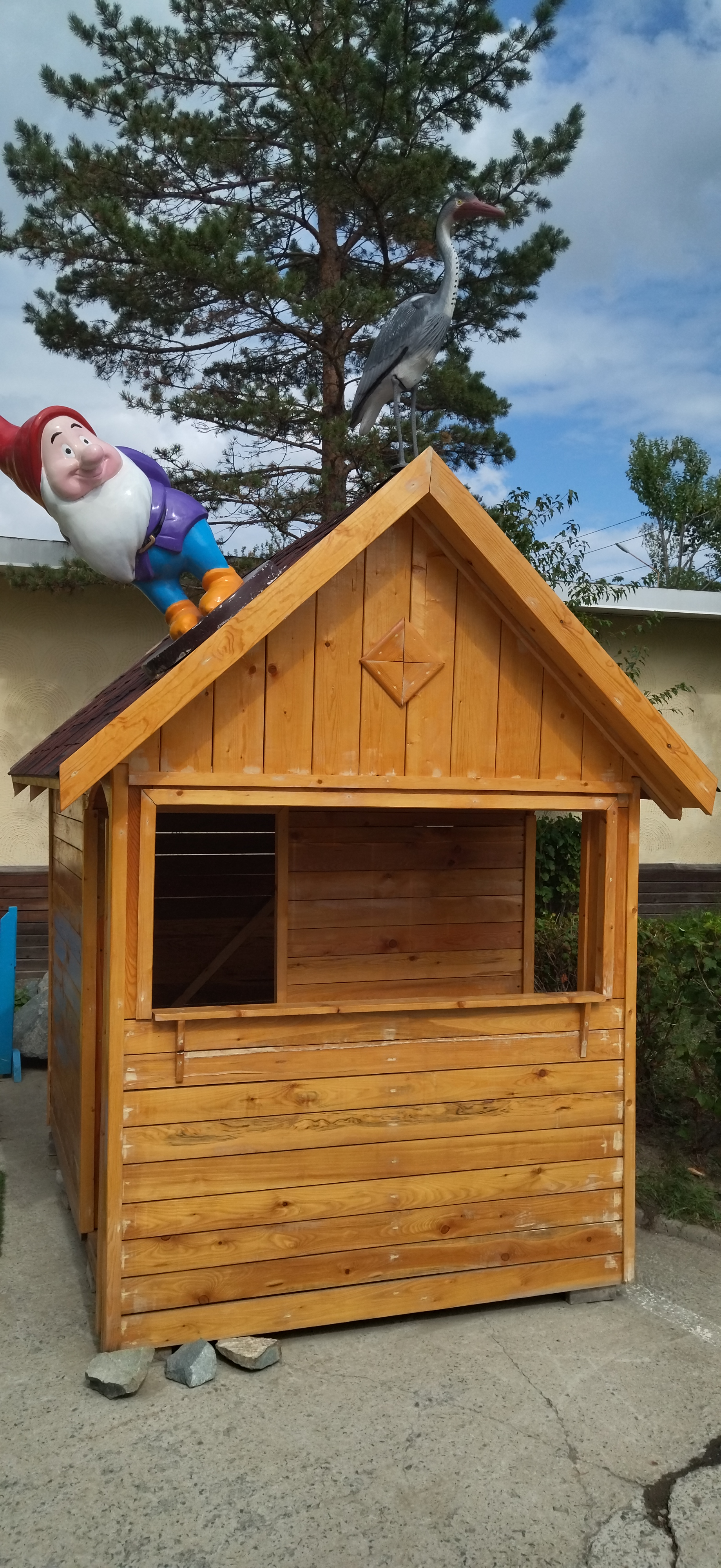 Фото Лесная поляна