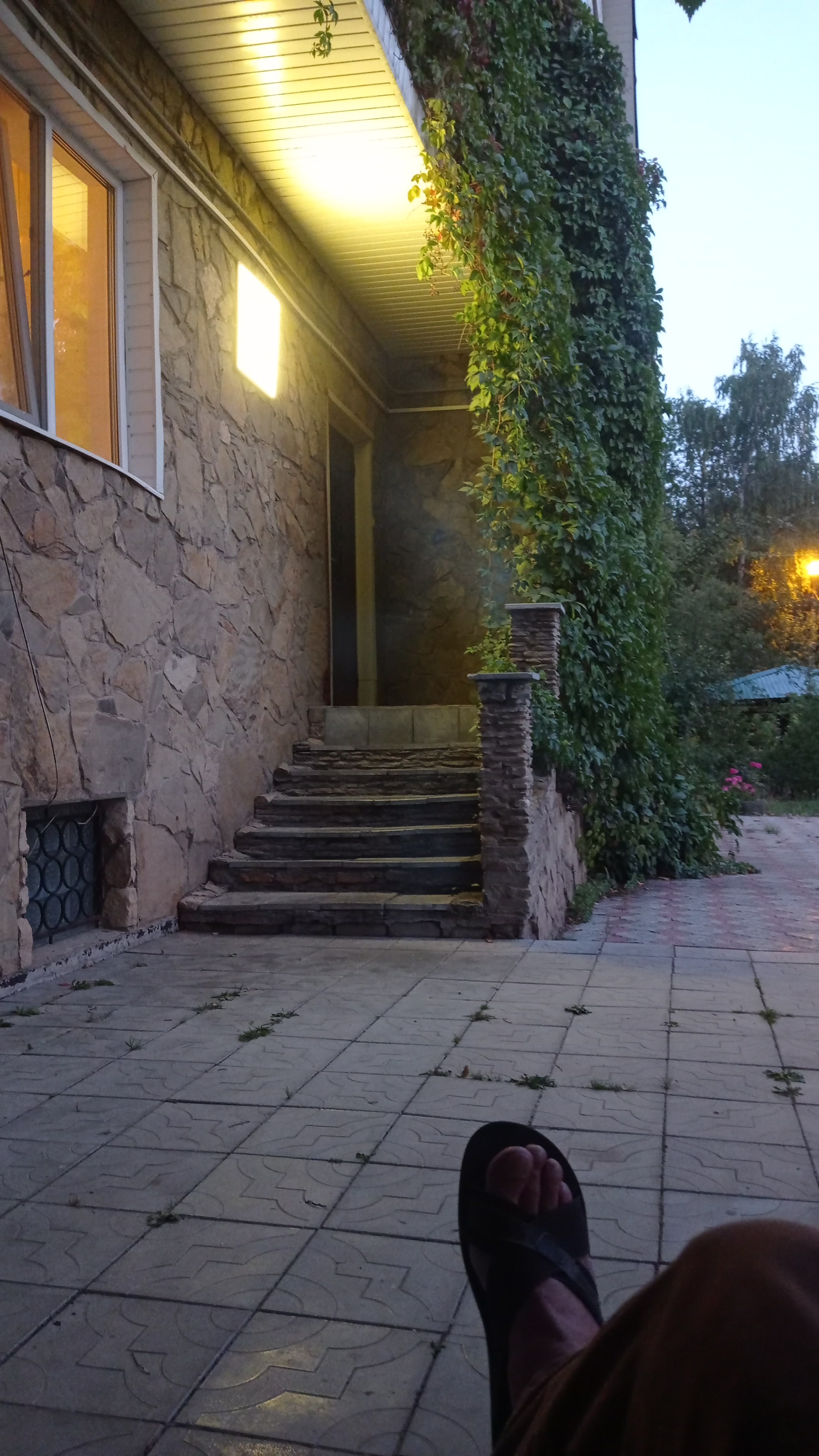 Фото Дубрава