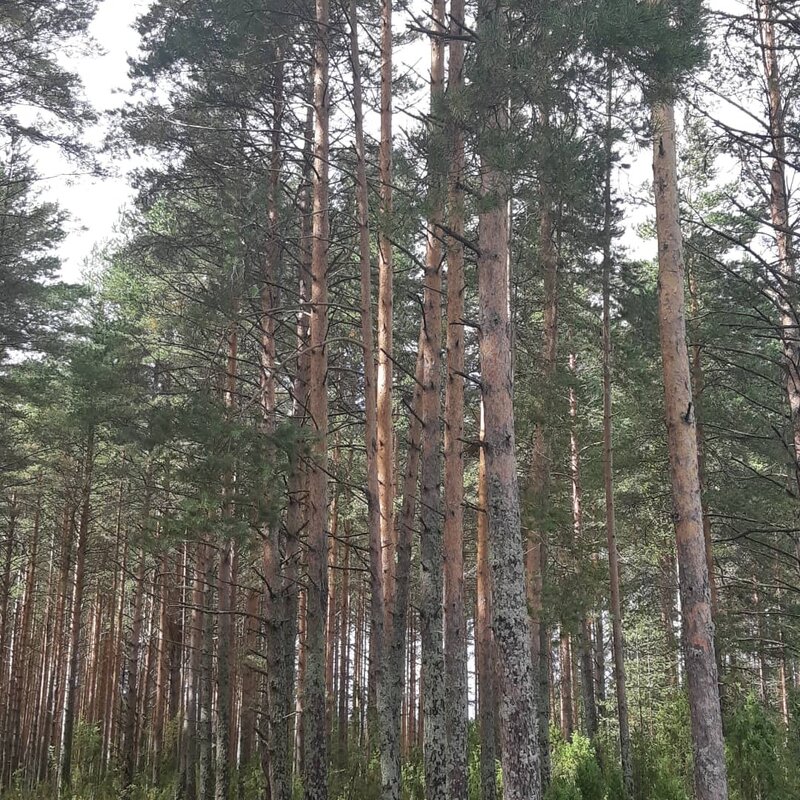 Дом рыбака Дунаец — фото 35