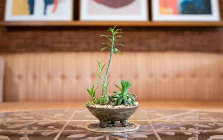 Фото ChiangMai Moli Inn - Hostel