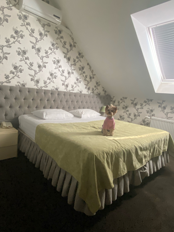 Фото Шертон