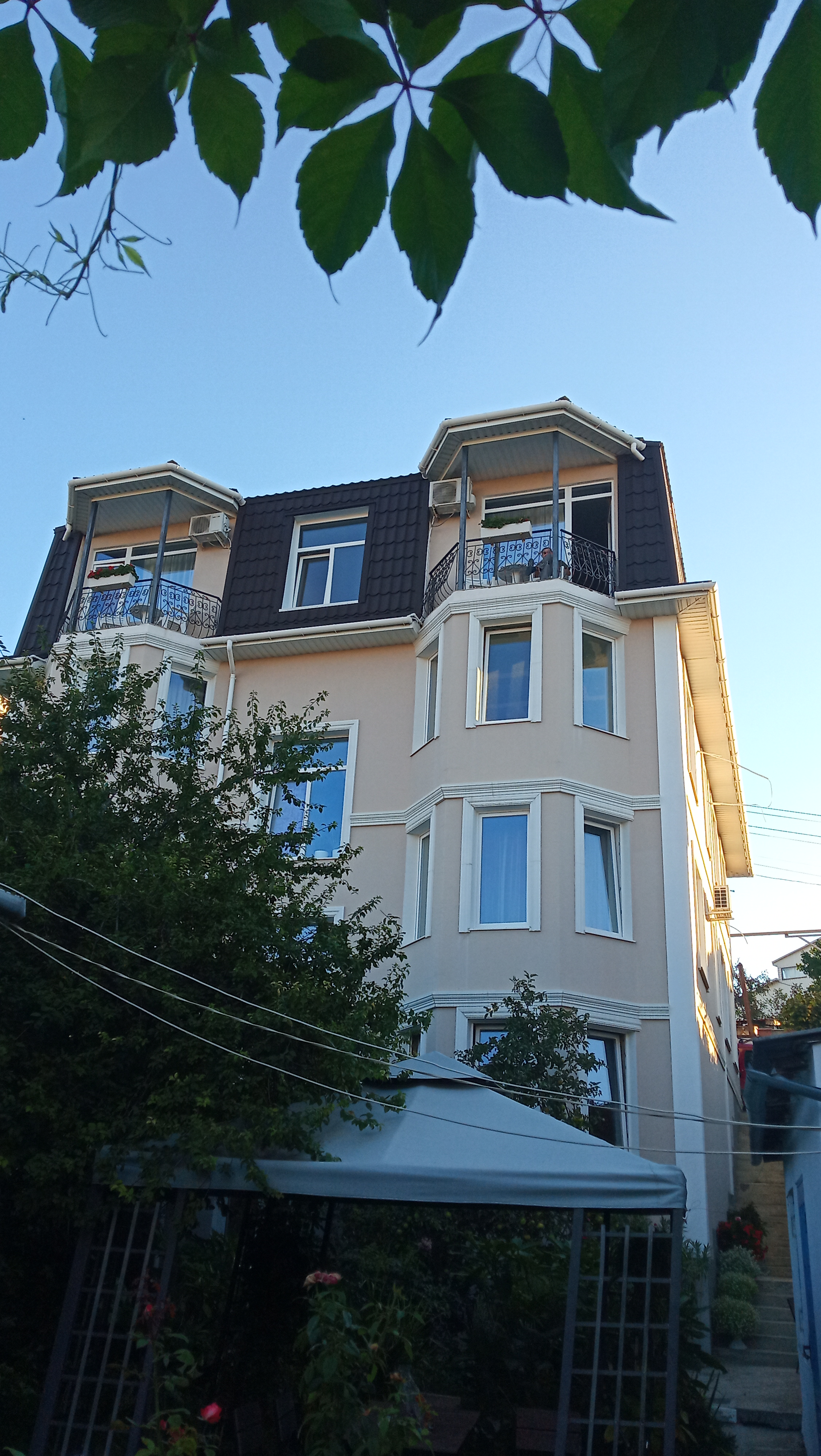 Фото Шолтатия