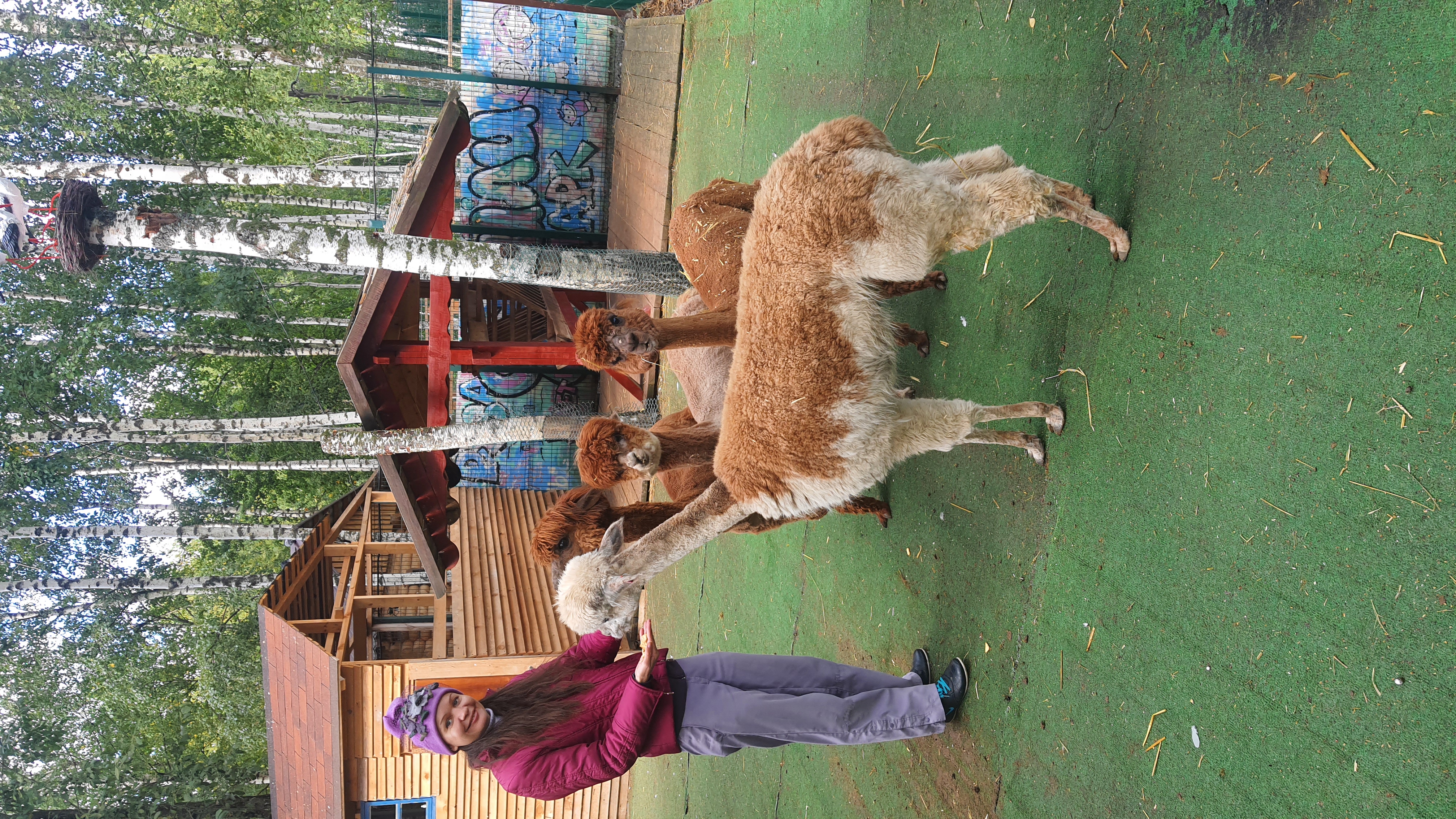 Фото Эко-отель Руза Фэмили парк