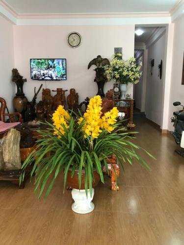 Hotel An An House-Hostel, Dalat, photo