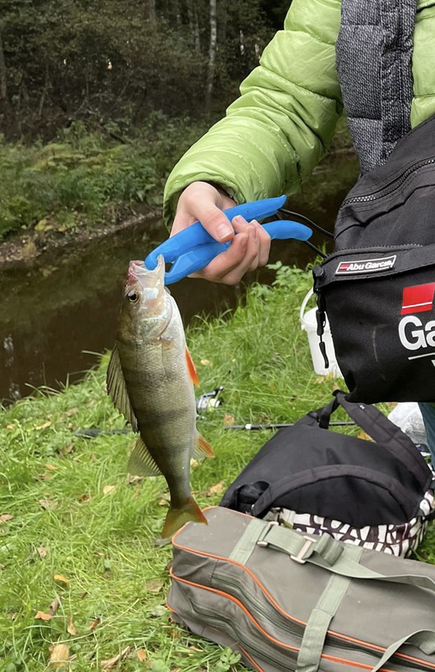 Фото Кургала