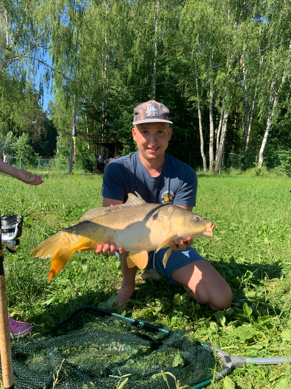 Фото Еду в гости