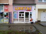 Цветы у дома (Sotsialisticheskaya ulitsa, 24), flower shop