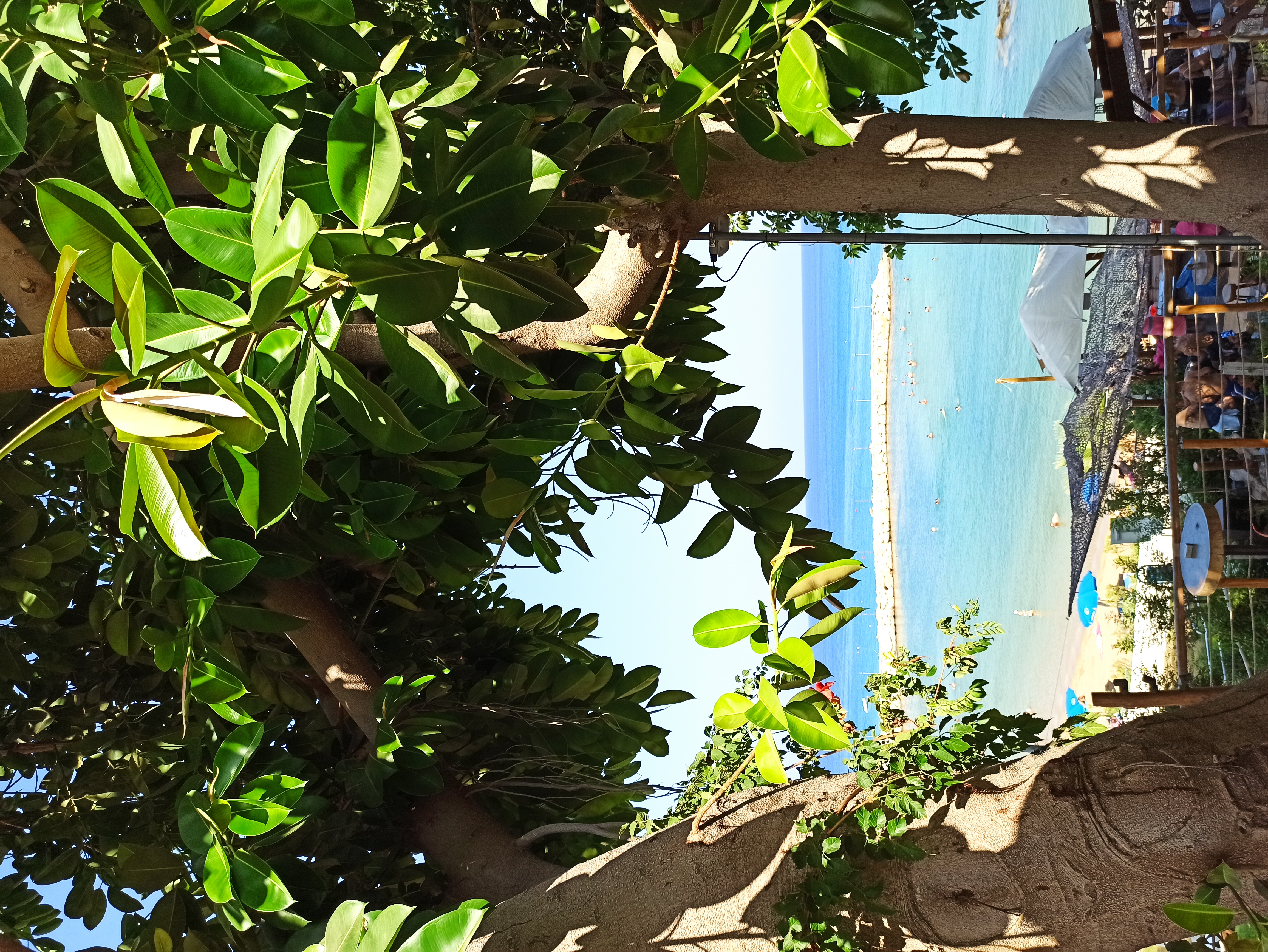 Фото Golden Coast Beach