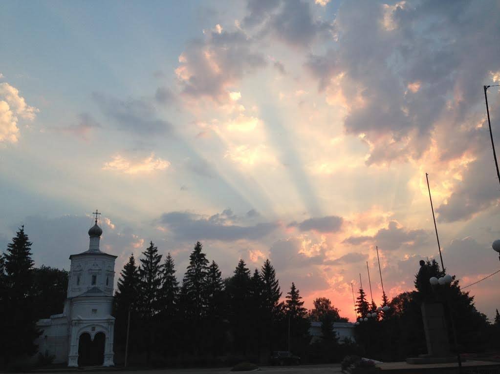 Фото Боровница