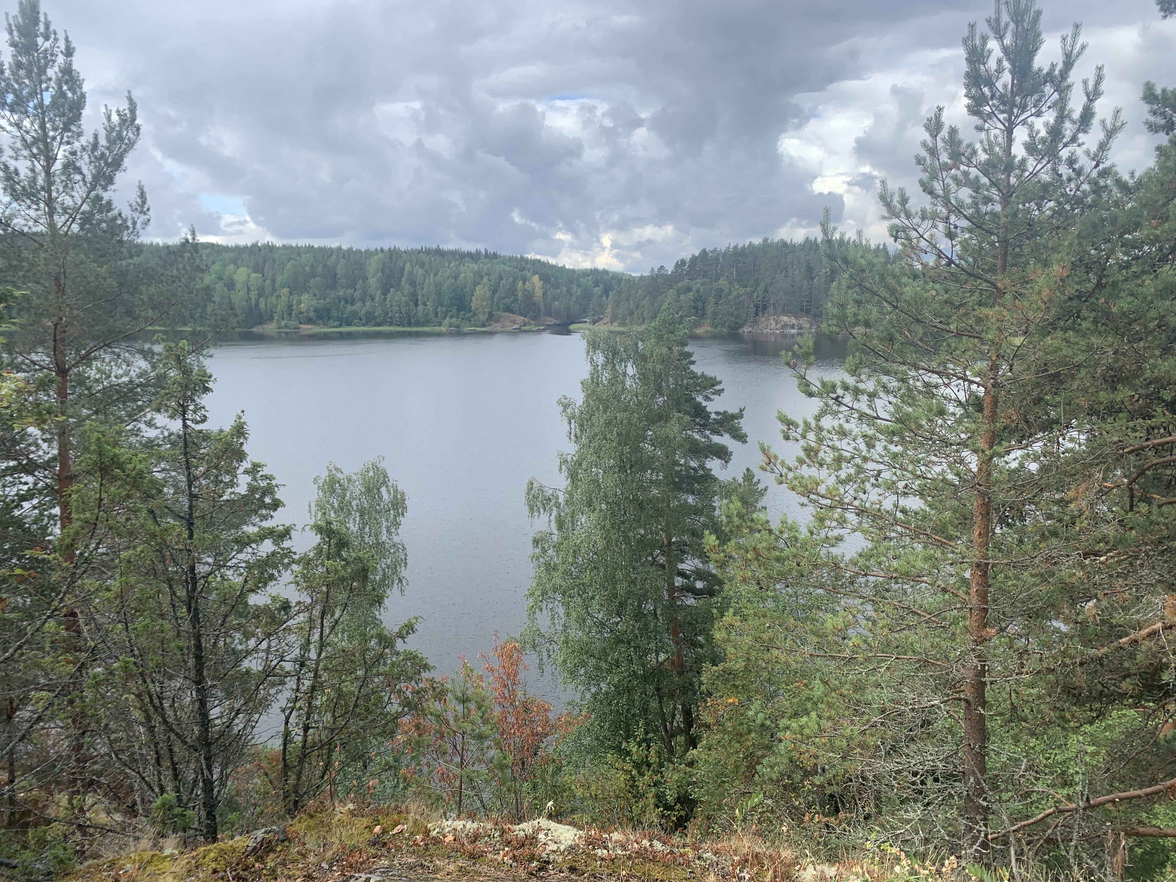 Фото Дивное