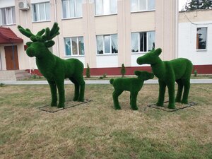 Полесский государственный радиационно-экологический заповедник Учреждение (Хойники, ул. Терешковой, 7), министерства, ведомства, государственные службы в Хойниках