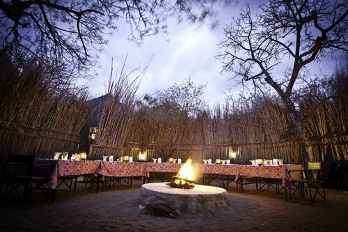 Гостиница Sausage Tree Safari Camp