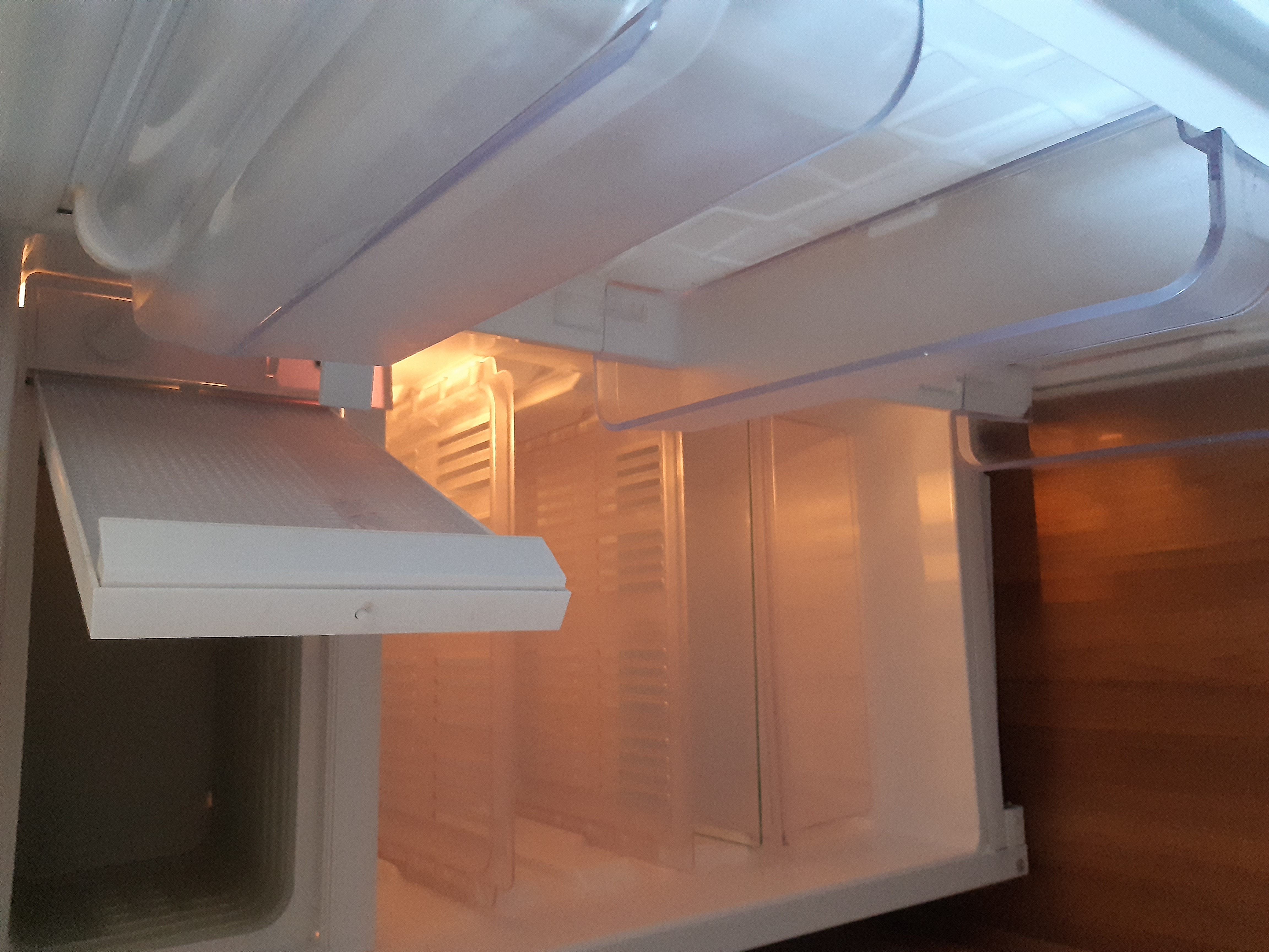 Фото Кипарис