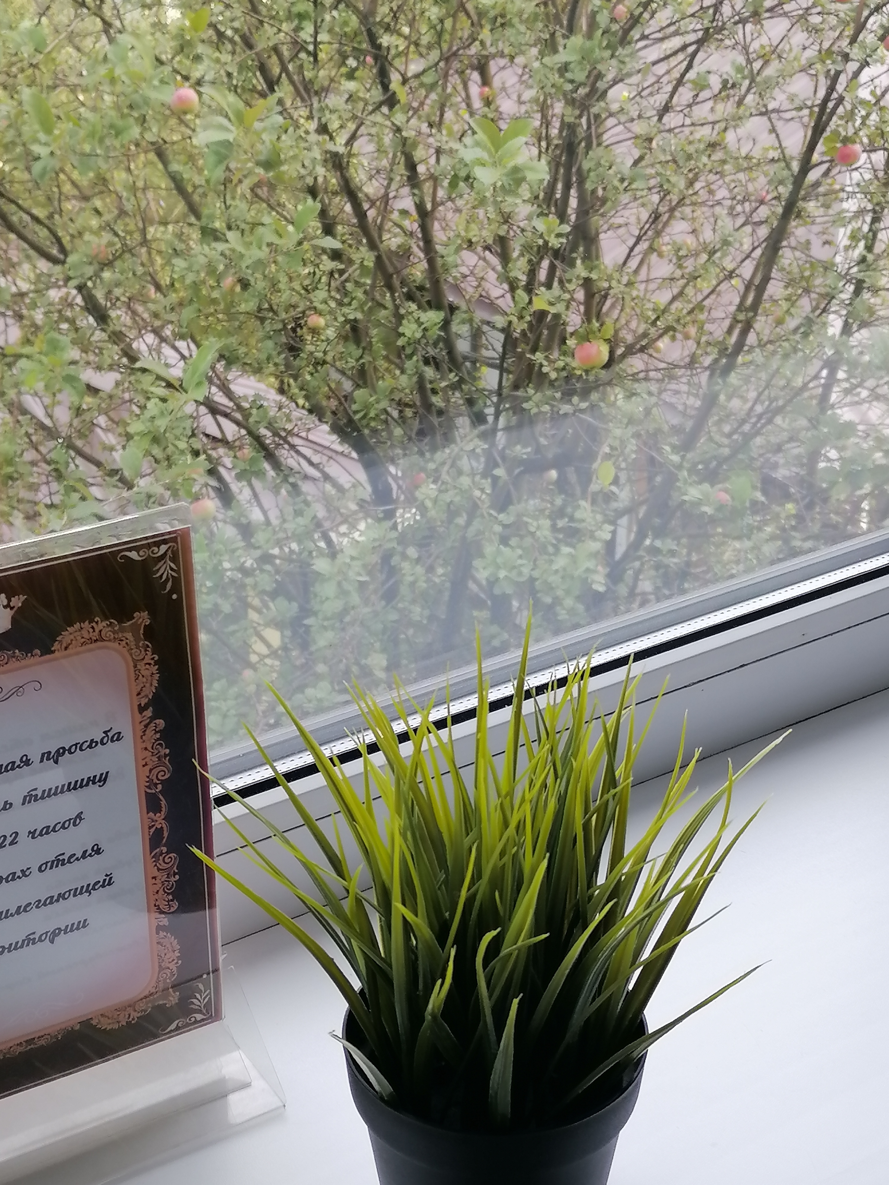 Фото Усадьба