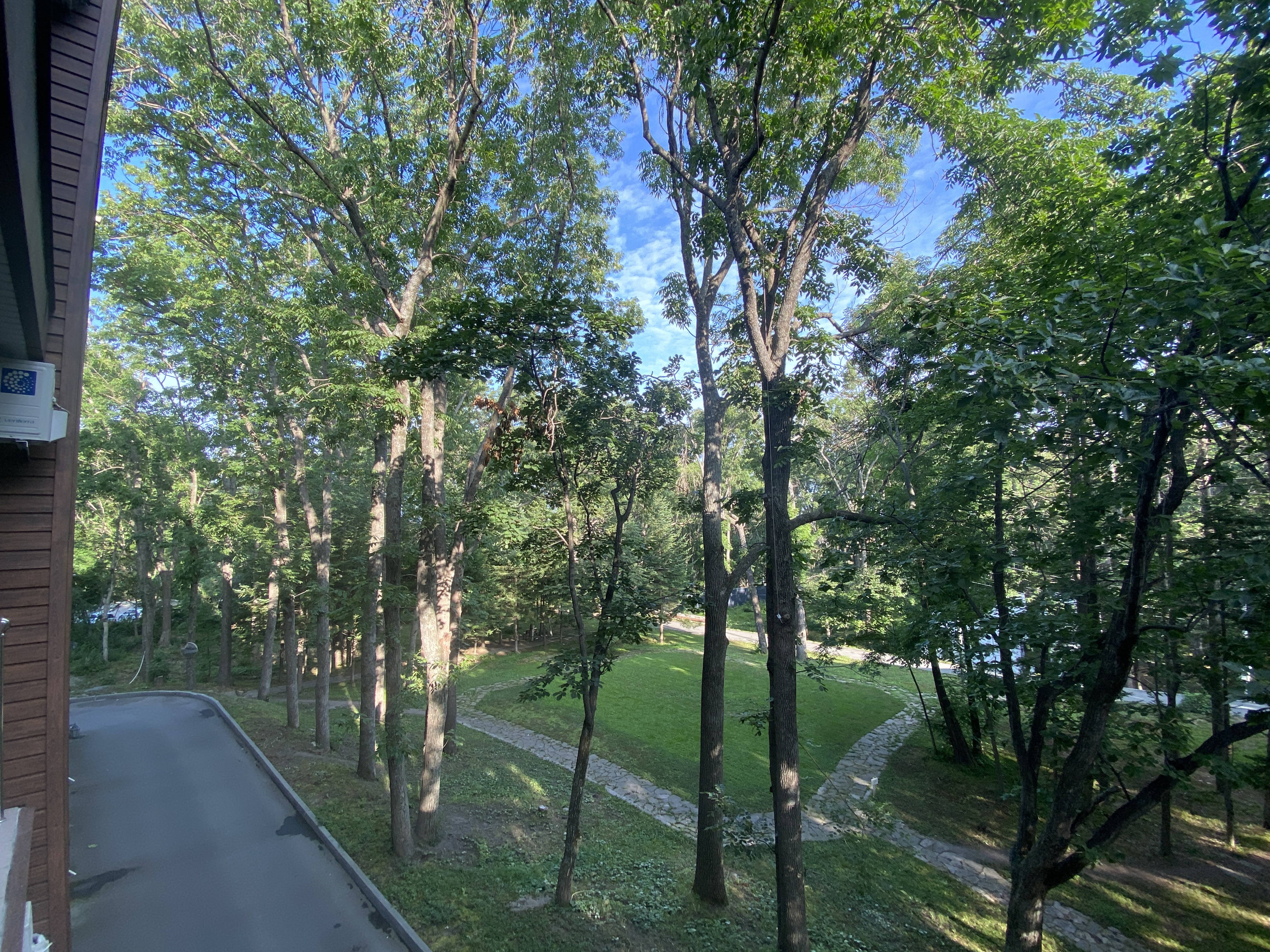 Фото Аврора 