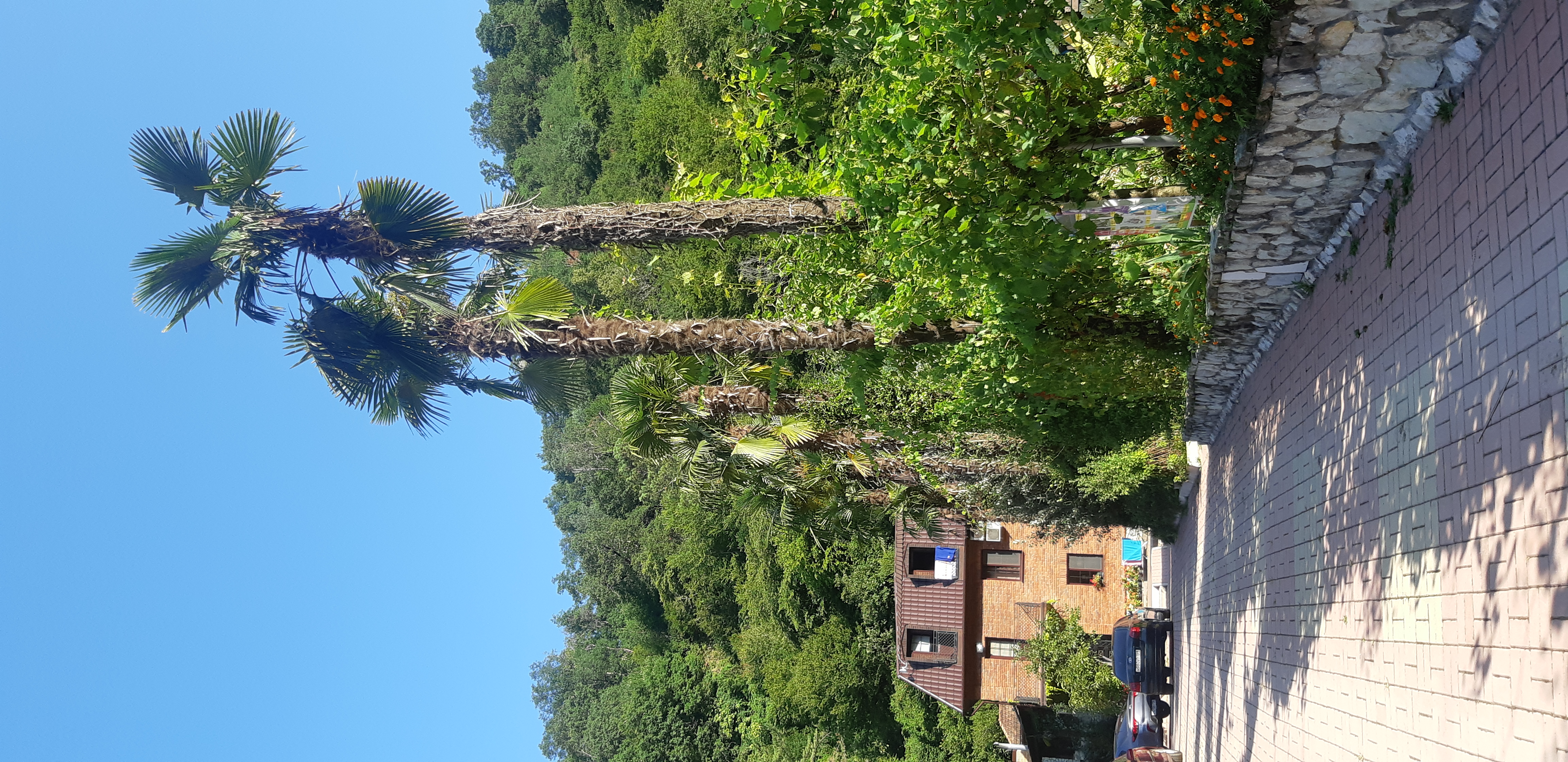 Фото Джанат