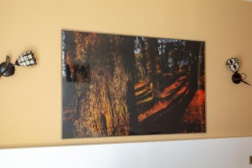 Фото Stellae Luscofusco