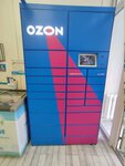 Ozon Box (Revolution Avenue, 54), parcel automat