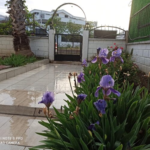 Апартаменты Side park villa 2 в Сиде