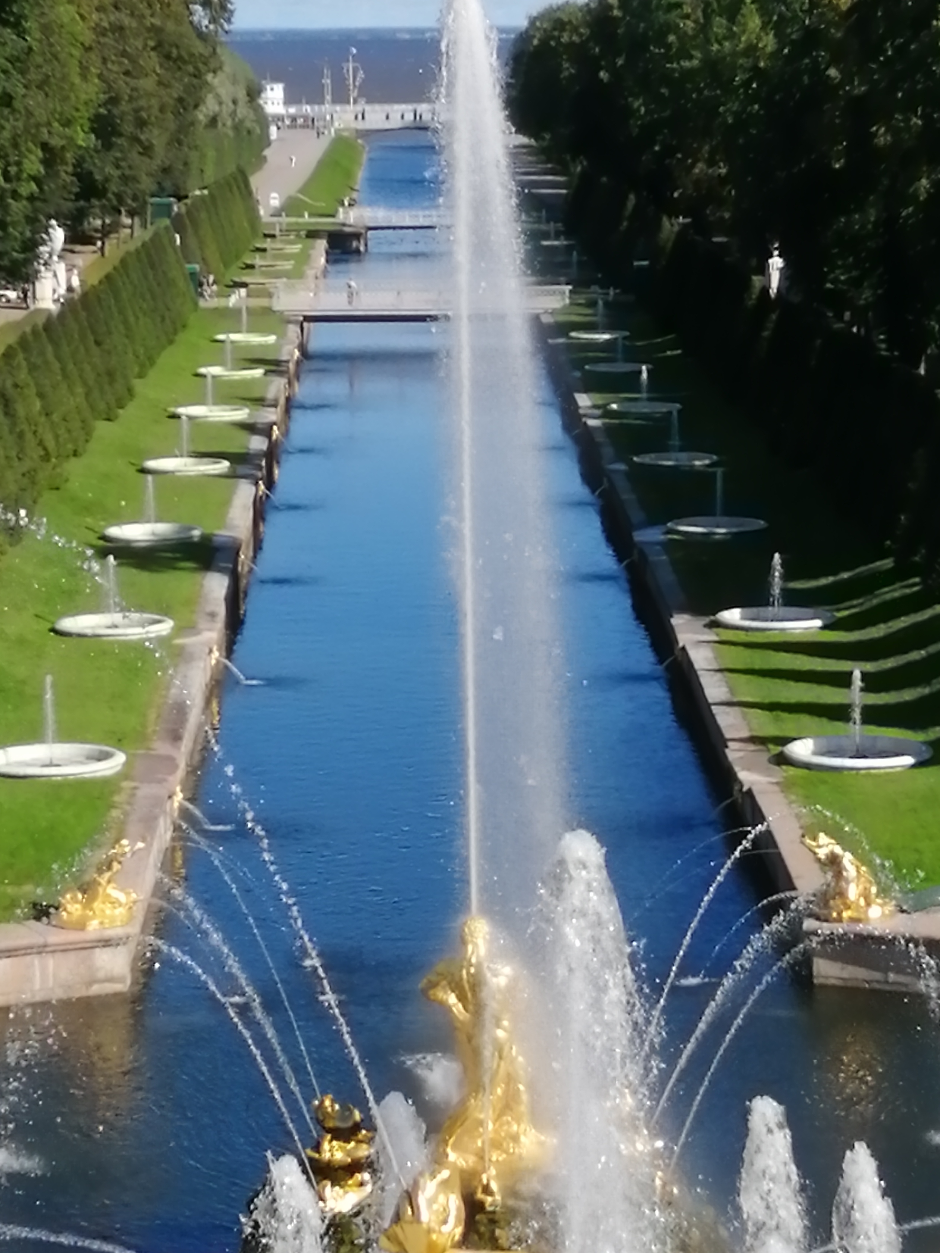 Фото Самсон