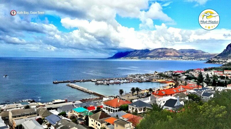 Гостиница Garden Apartment Fish Hoek Bay в Кейптауне