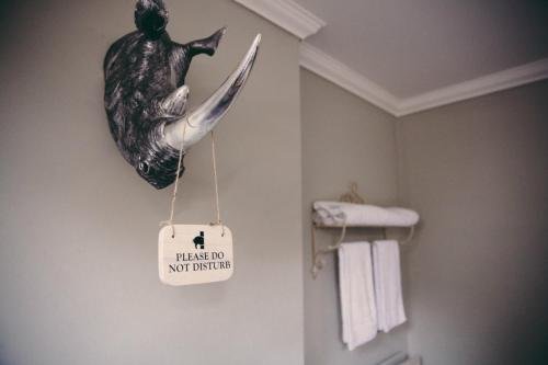 Фото The Curious Pig in the Parlour