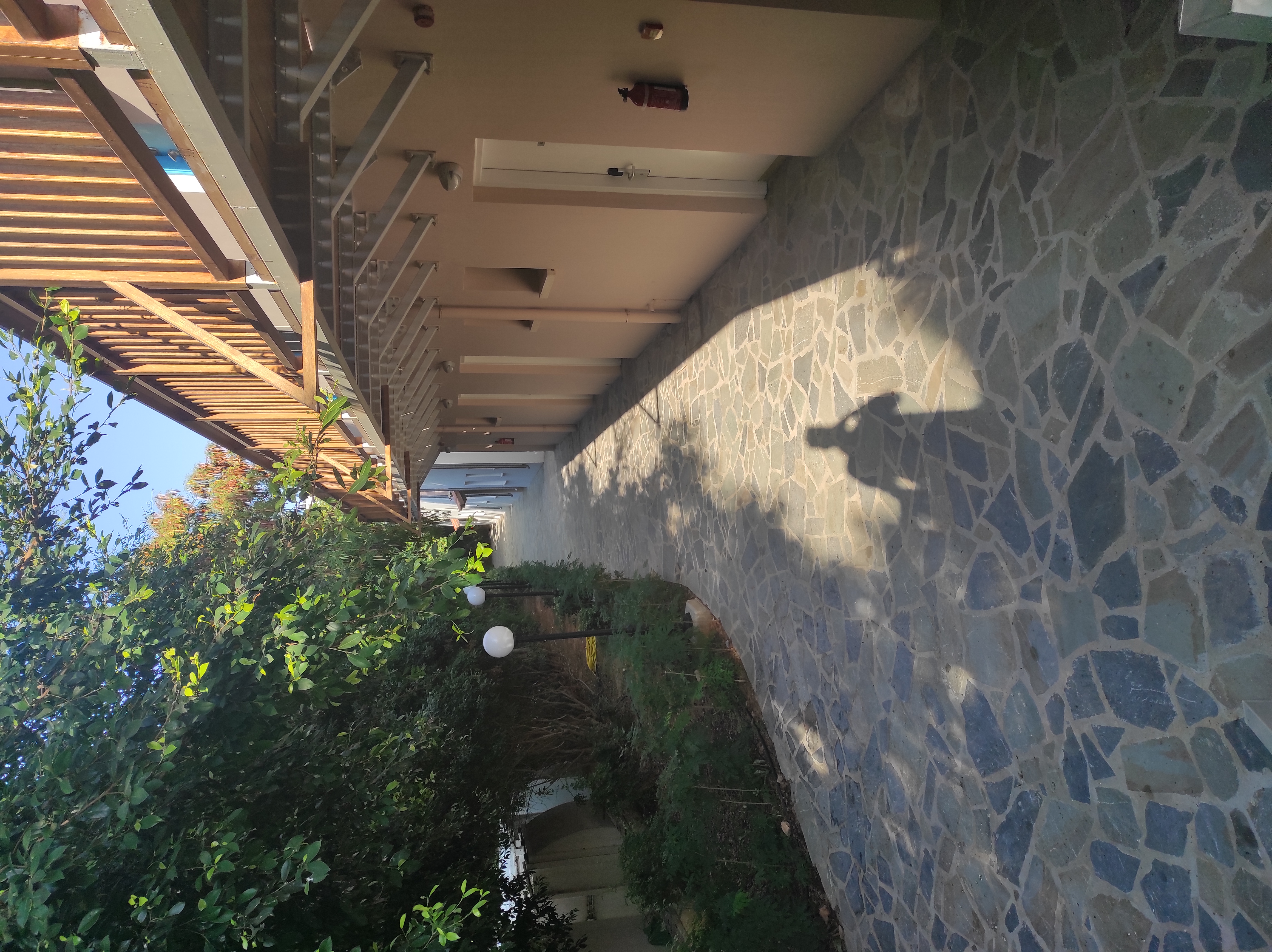 Фото Melissi Beach Hotel & SPA