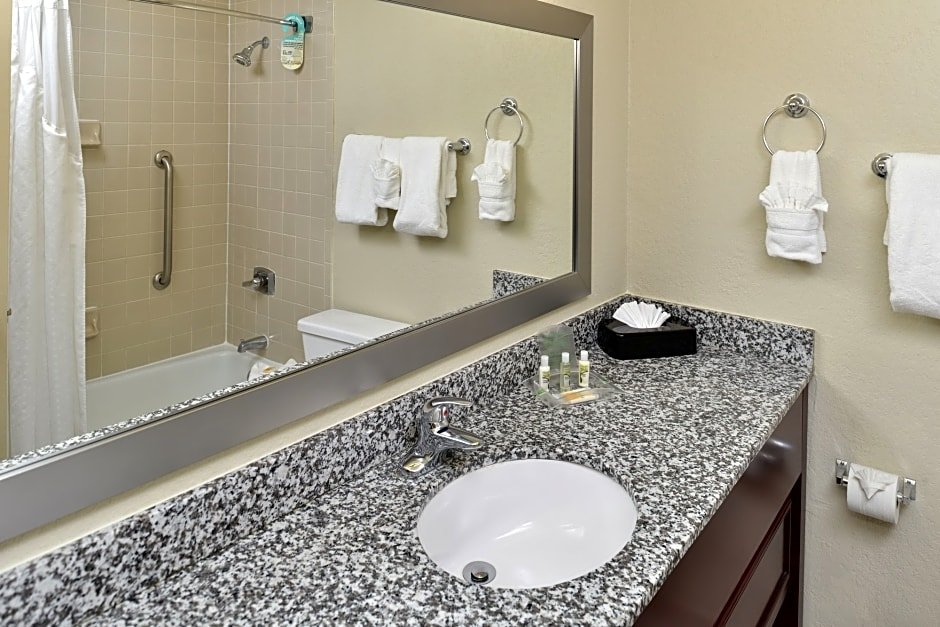 Фото Holiday Inn St Petersburg N - Clearwater, an Ihg Hotel