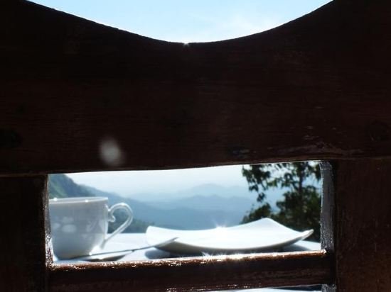 Фото Monarch ella