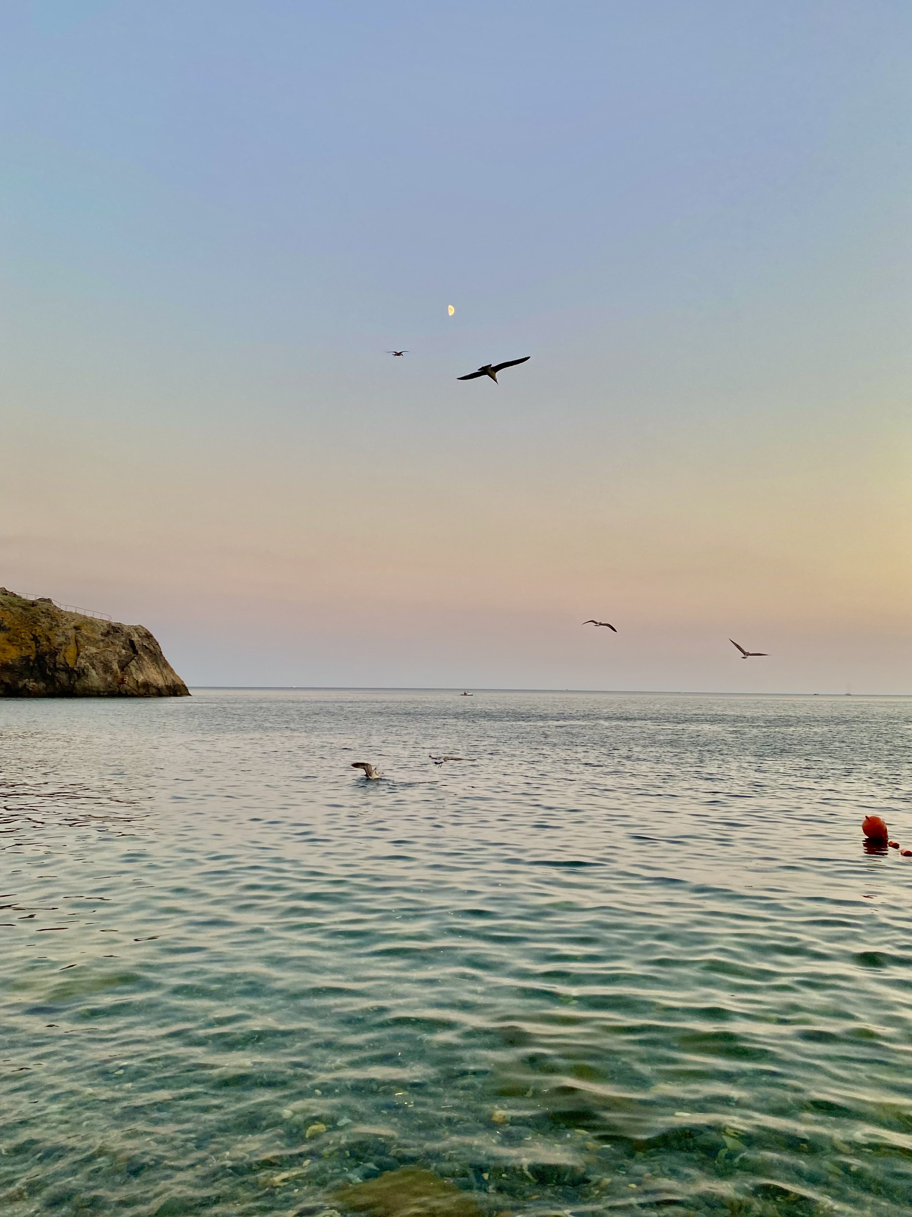 Фото Дача ВиноГрад