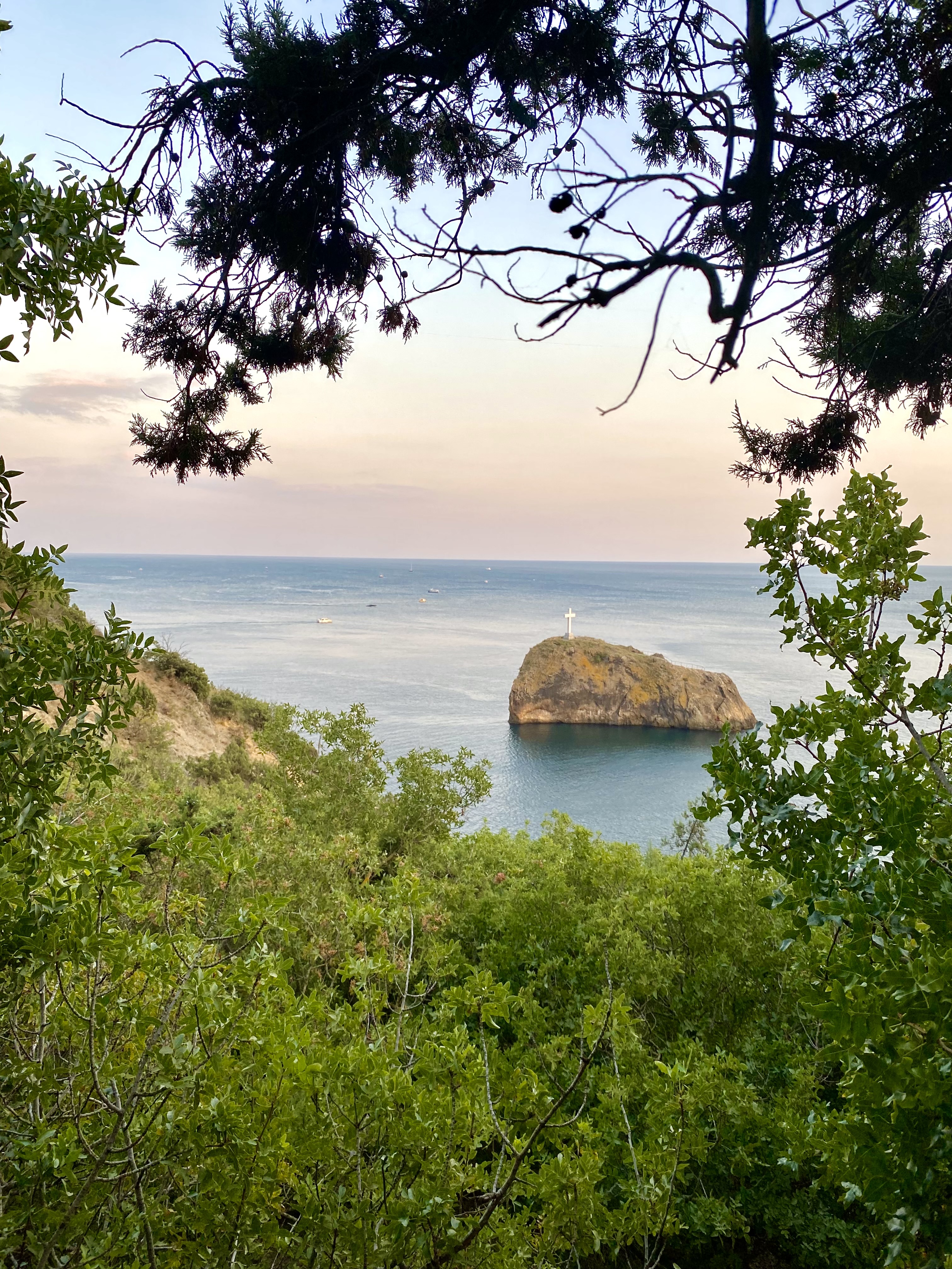 Фото Дача ВиноГрад