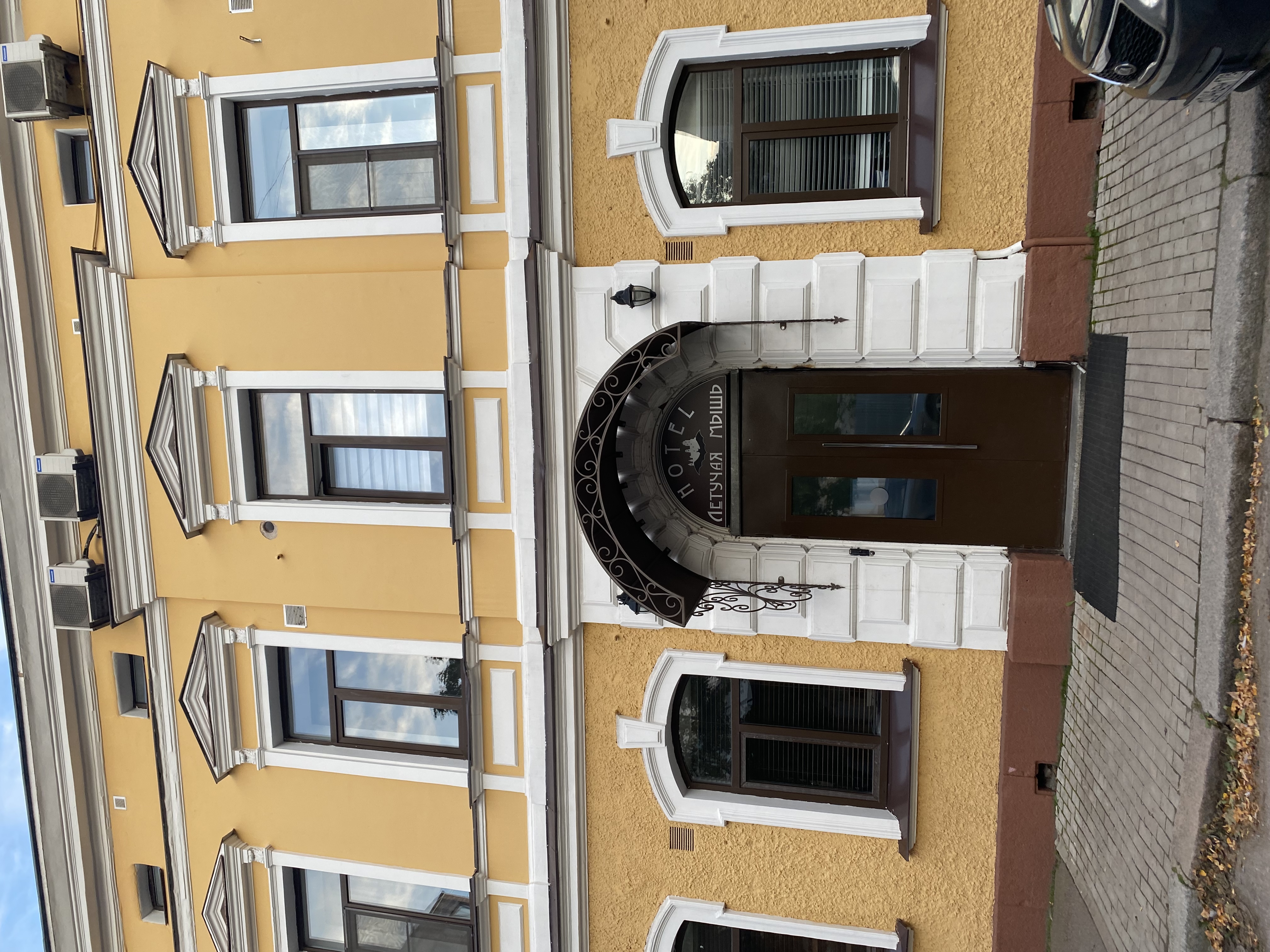 Фото Летучая мышь