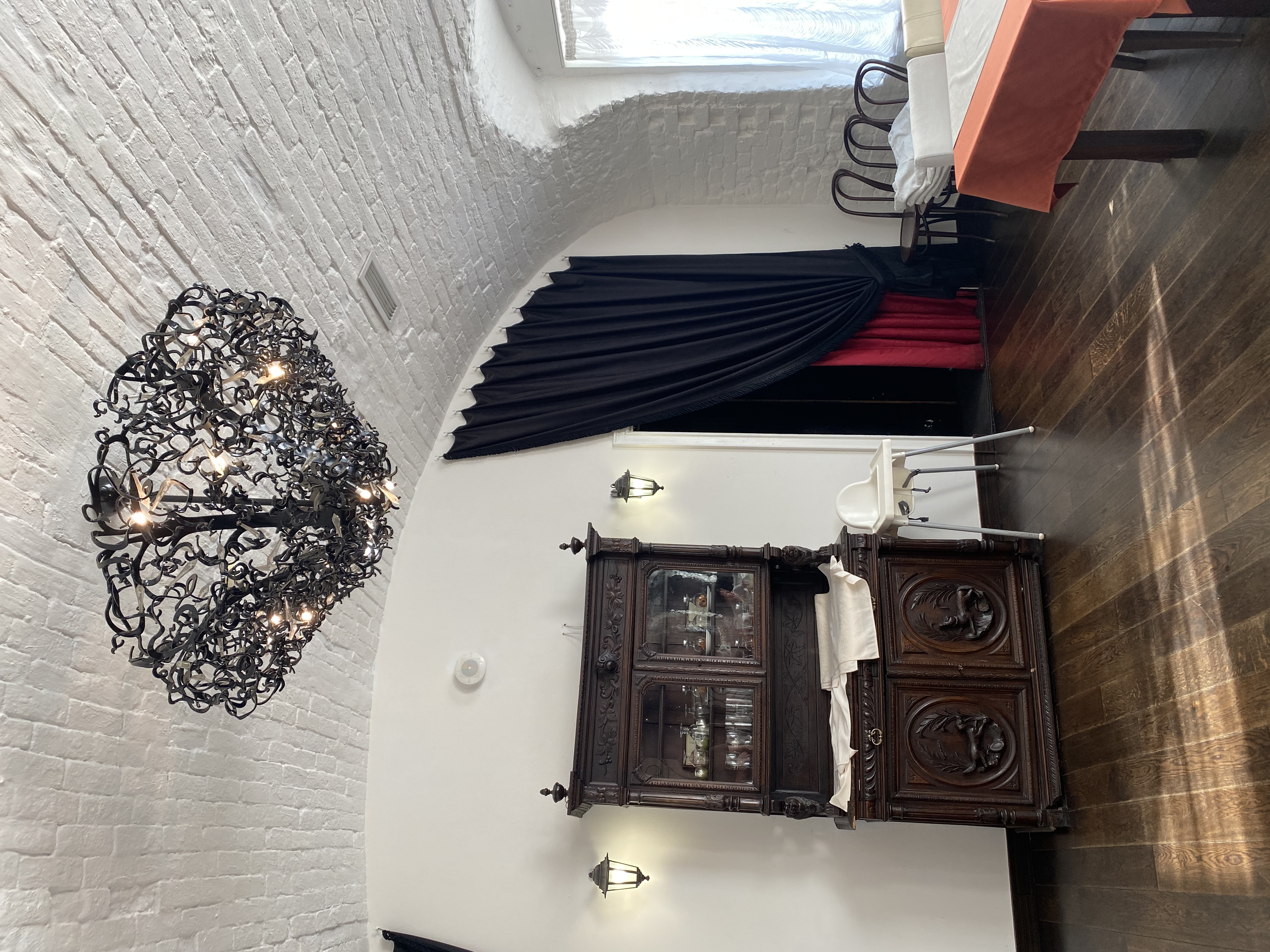 Фото Летучая мышь