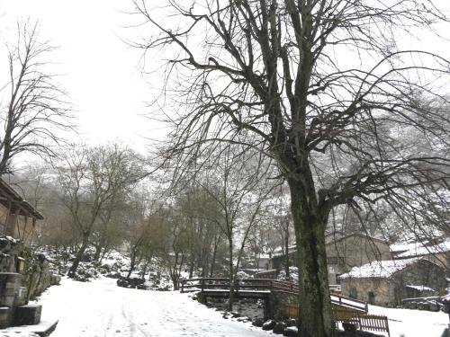 Фото Albergue Villa de Bulnes