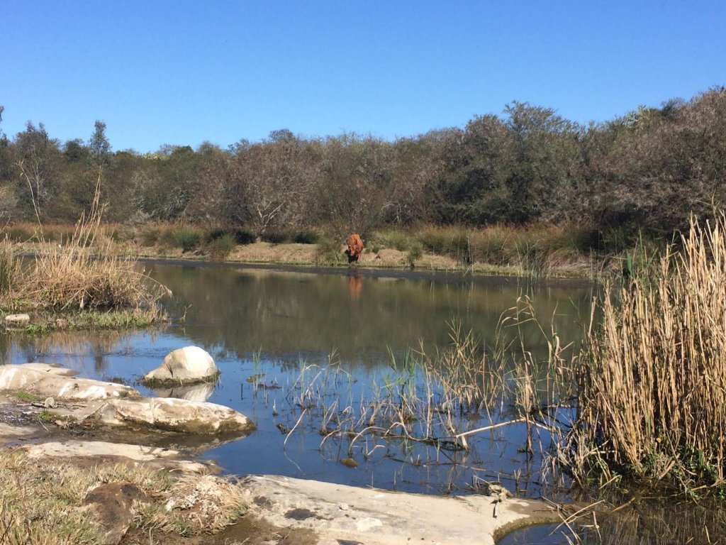 Фото River Front Estate