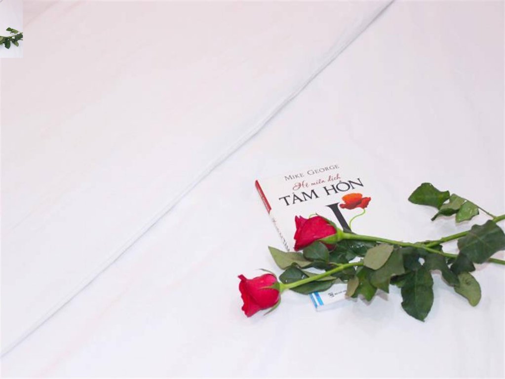 Фото Mi Linh Hotel