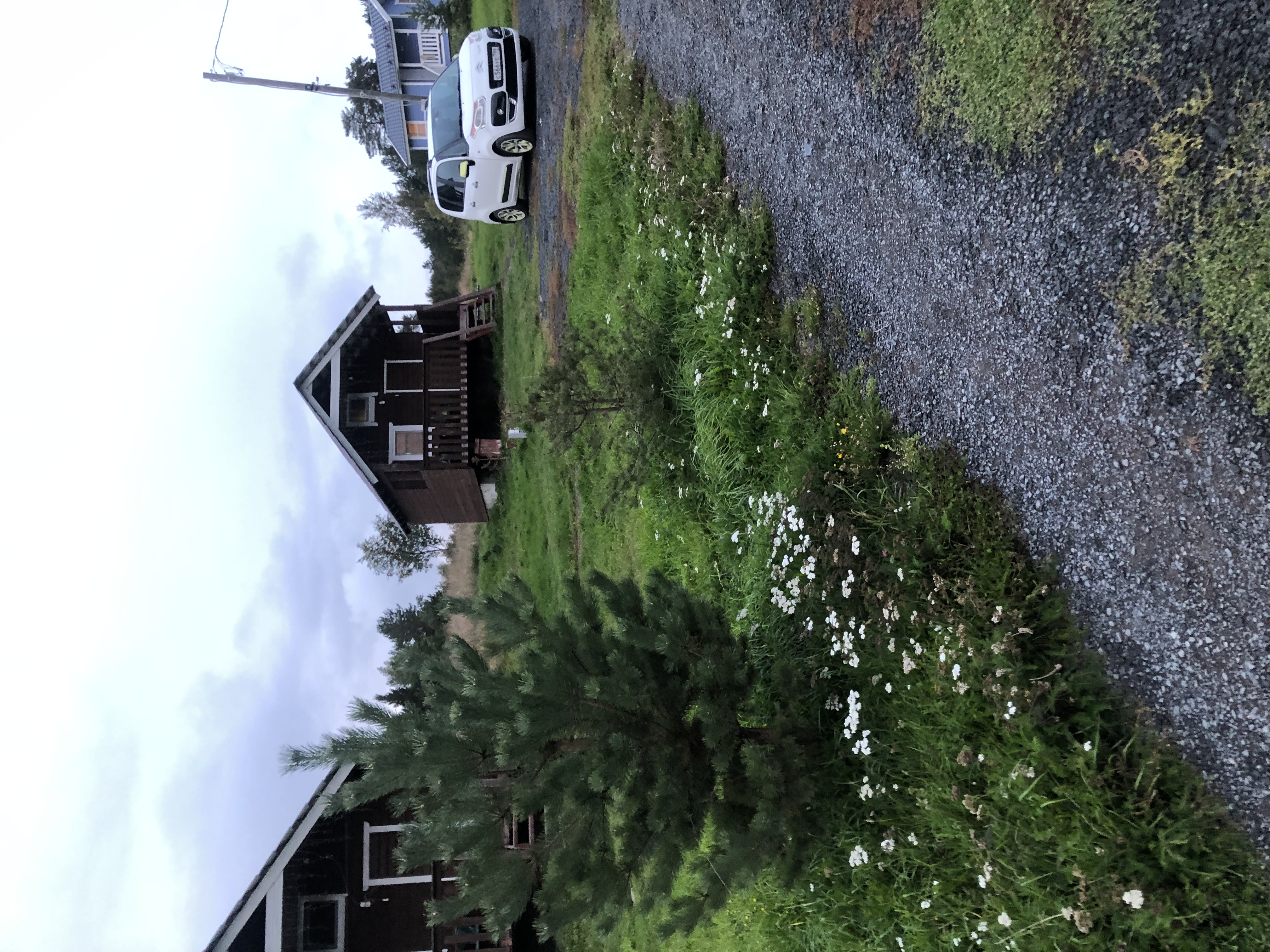 Фото У плотника