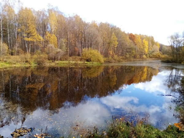 Gardeners' partnerships and societies Мичуринец Ветеранов и Сотрудников Органов Внутренних Дел, Moscow and Moscow Oblast, photo
