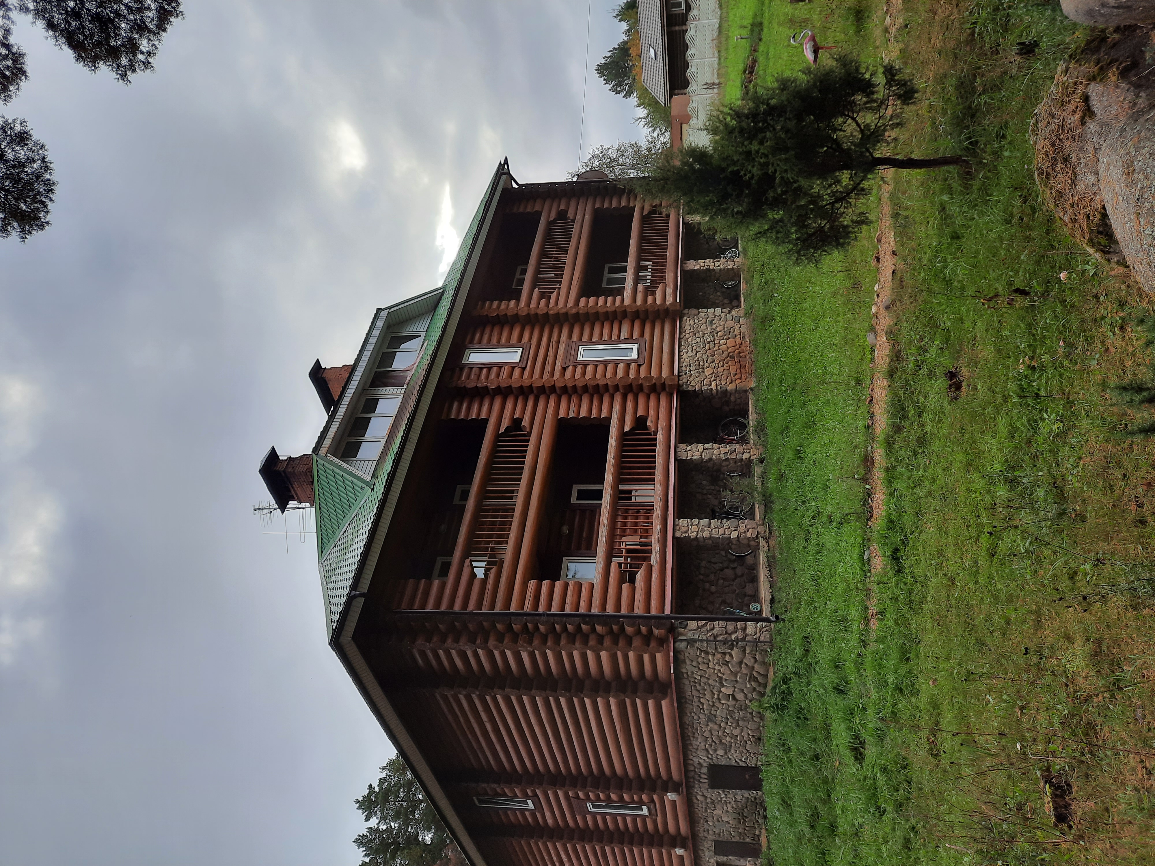 Фото Можжевеловый бор