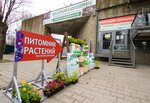 Veselyjsadovnik (gorodskoy posyolok Toksovo, ulitsa Sovetov, 68) ، متجر مستلزمات البستنة