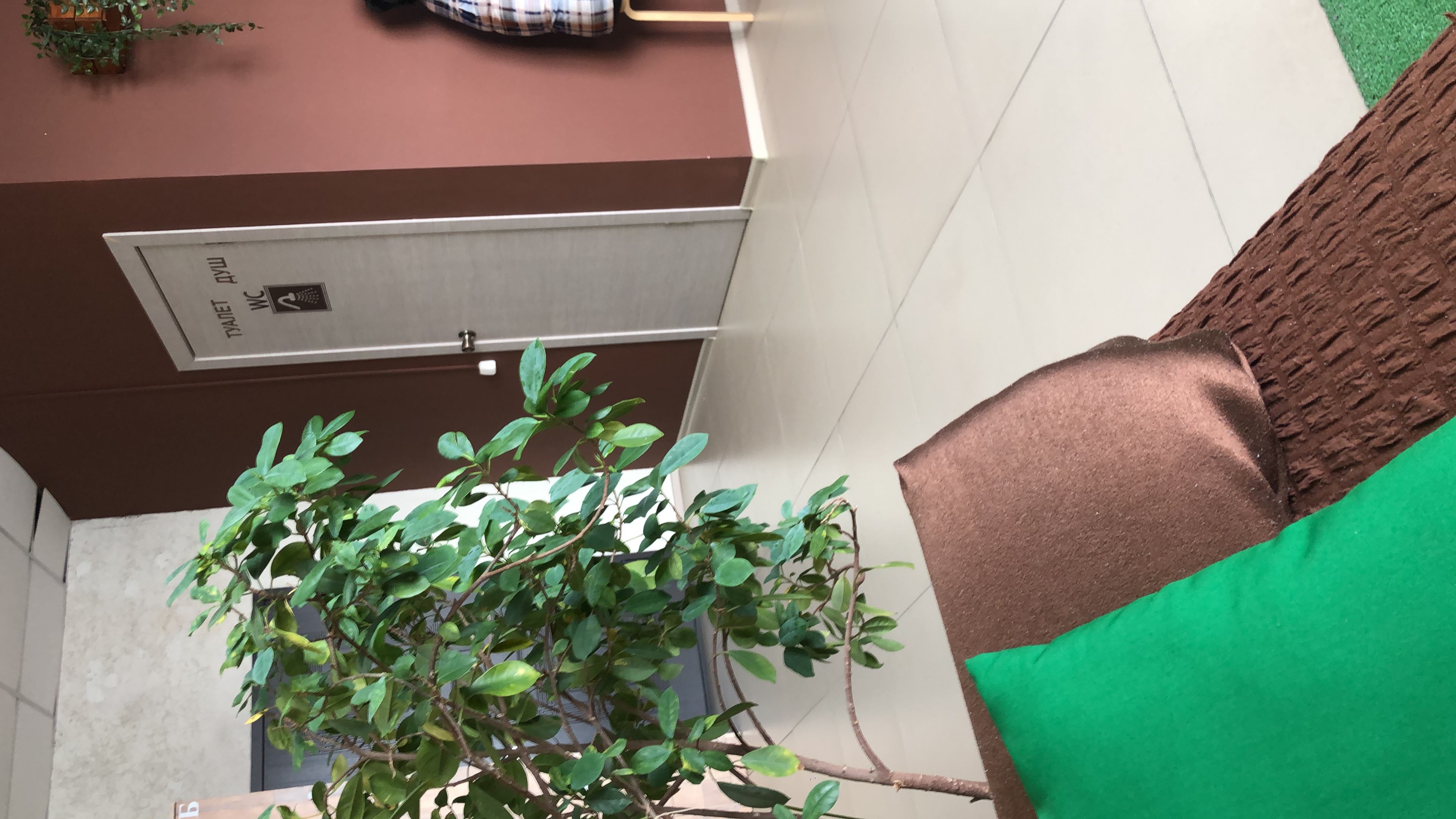 Фото Капсульный отель Толмачево