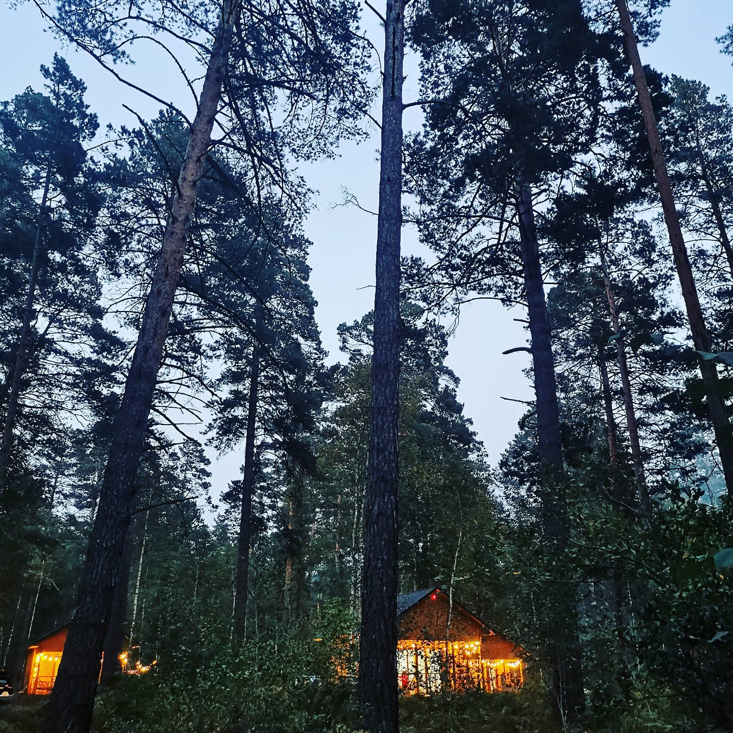 Фото Таналтай