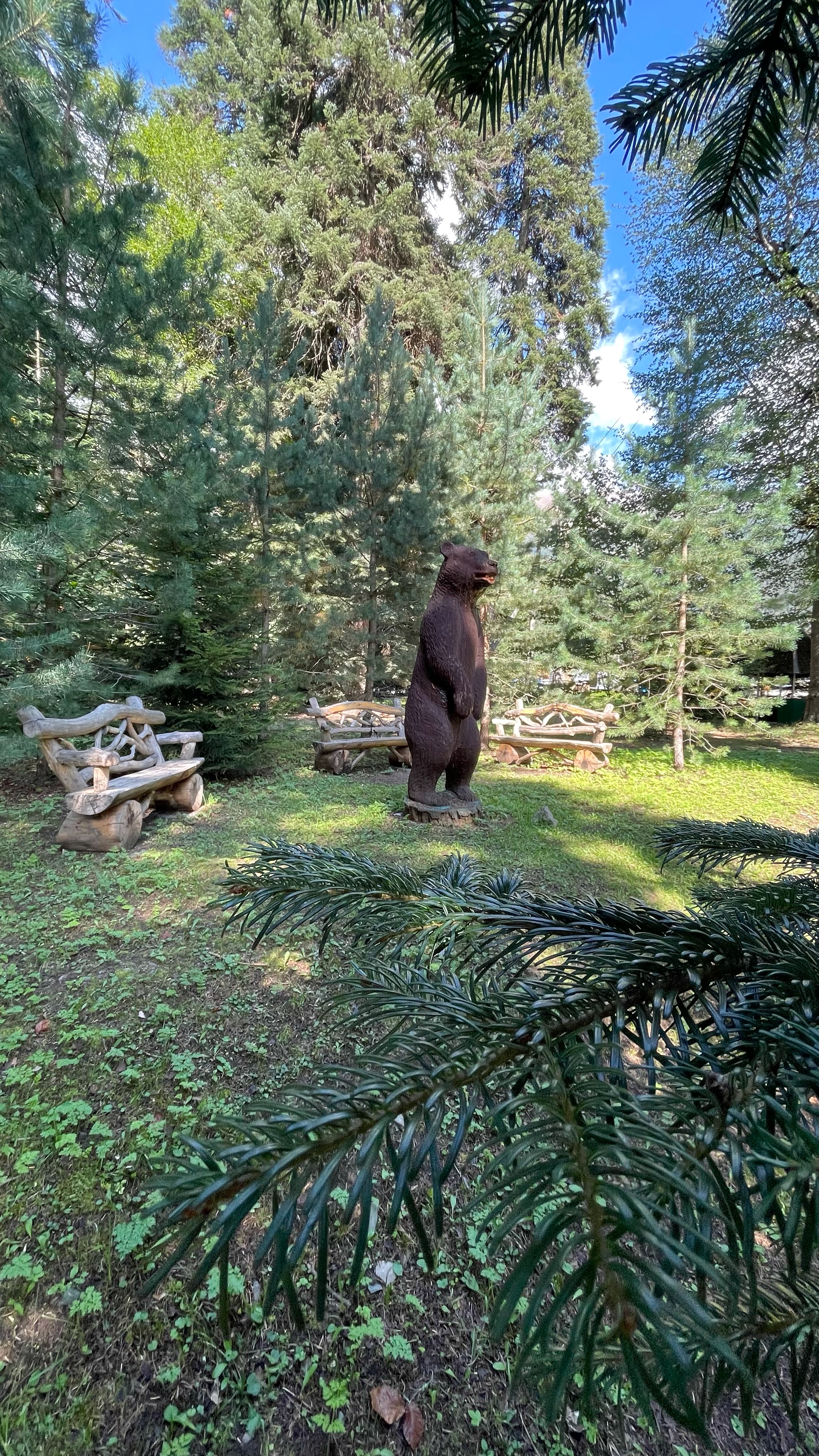 Фото Банковская дача