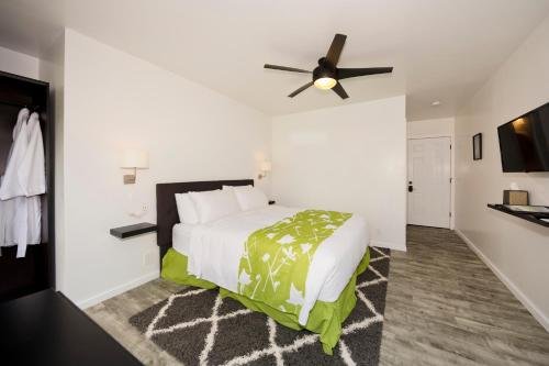 Фото Hale 'Ohu Bed & Breakfast