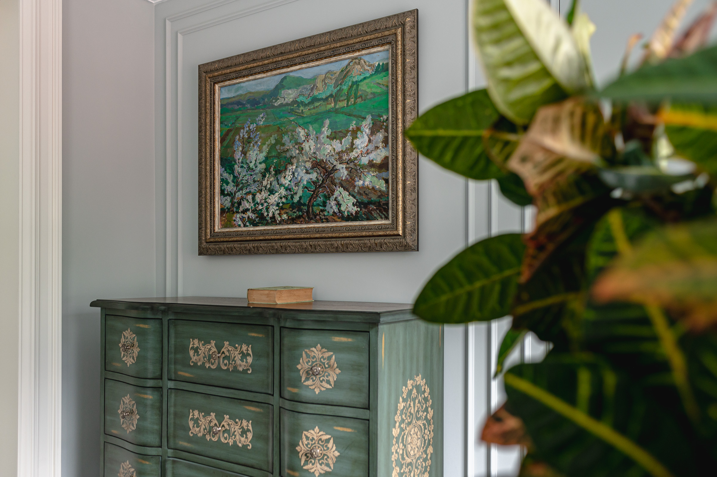 Фото Камелия